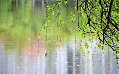 雨中的守护者 —— 临夏县珍珠棉的应用实践